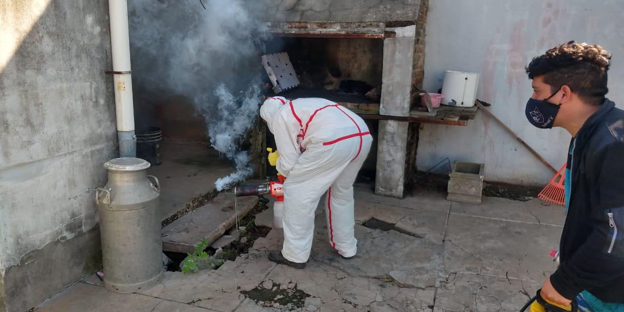 Fumigación Dengue 2
