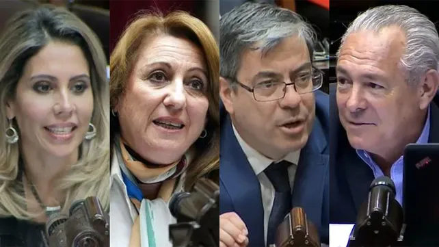 la-ley-bases-dividio-posiciones-los-diputados-nacionales-santa-fe