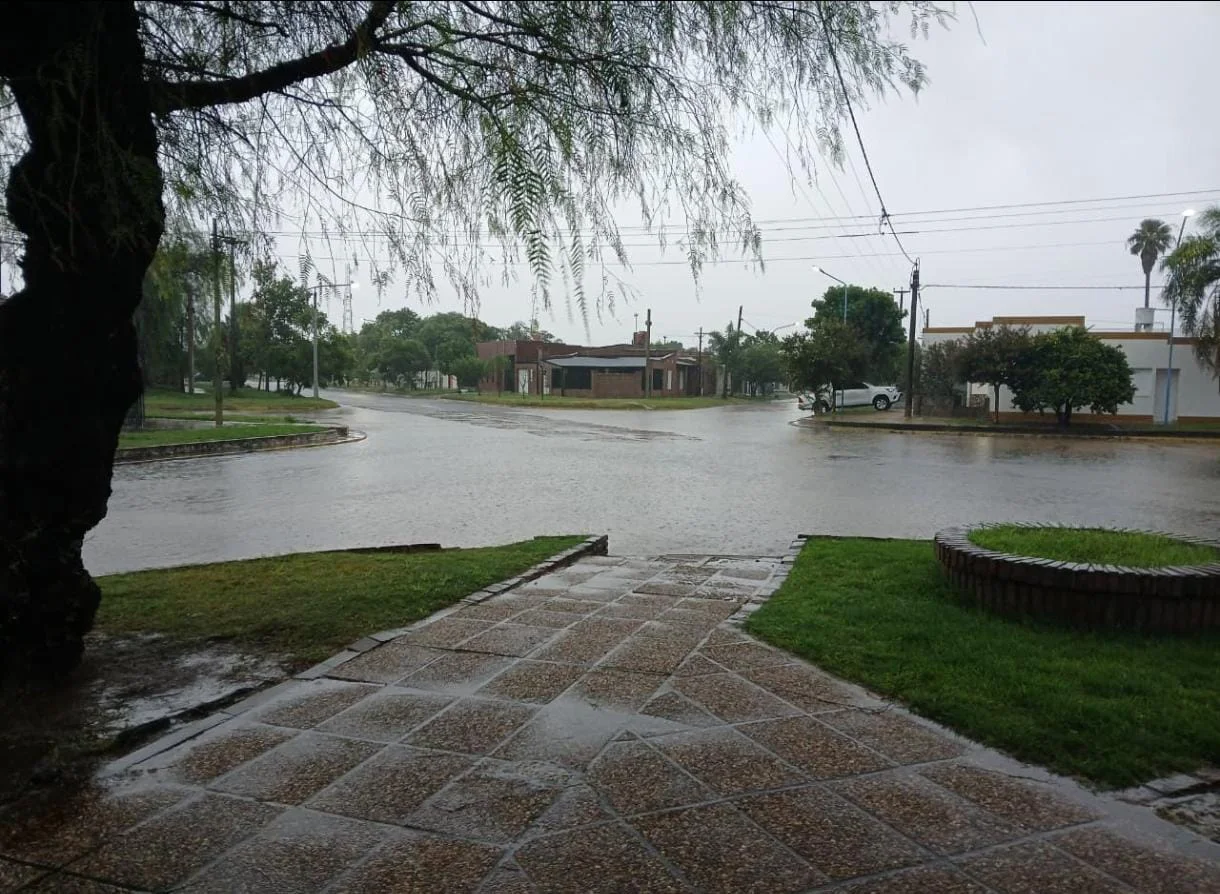 WhatsApp Image 2026-02-12 at 12.16.01 PM