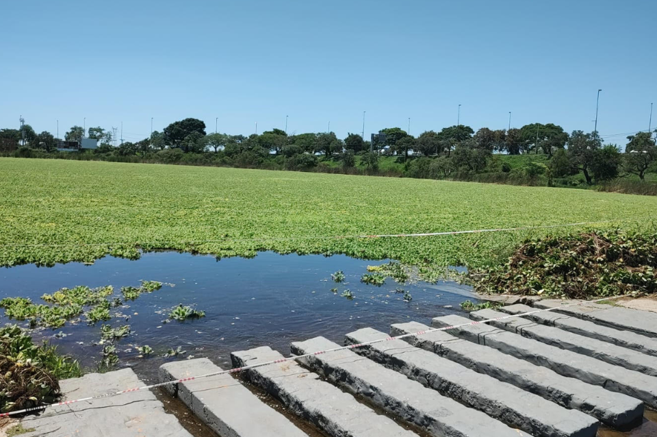 Lago parque del Sur_LT10 web