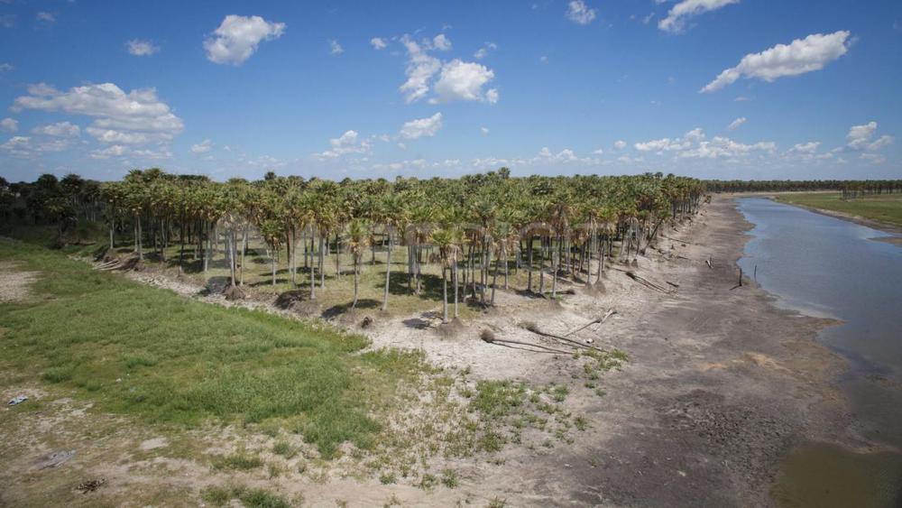 especial-el-palmar_mg_5496_mth_mthjpg