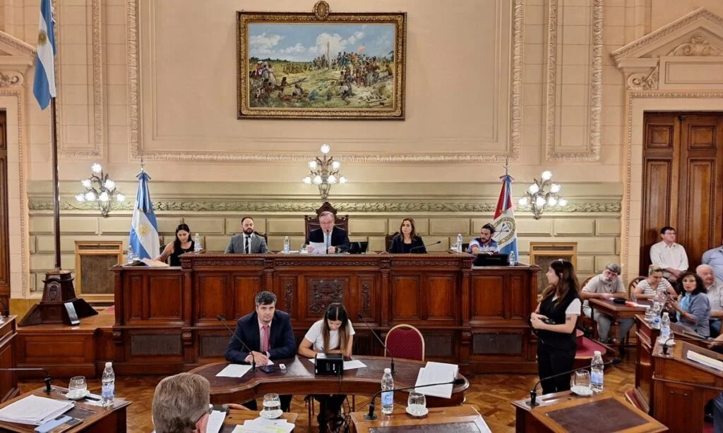 sesion-senado-3-1024x614