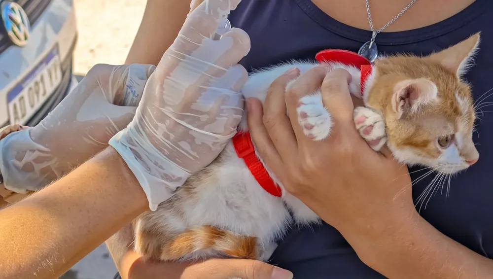 484919741_657607126670296_8055319621814772277_n