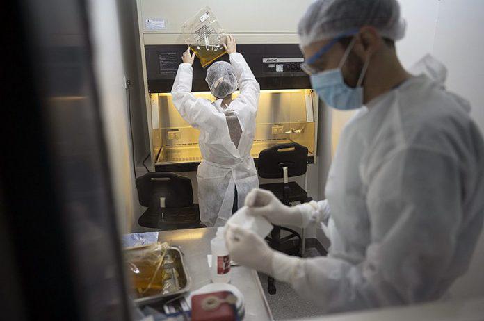 Coronavirus-Laboratorio9-696x462