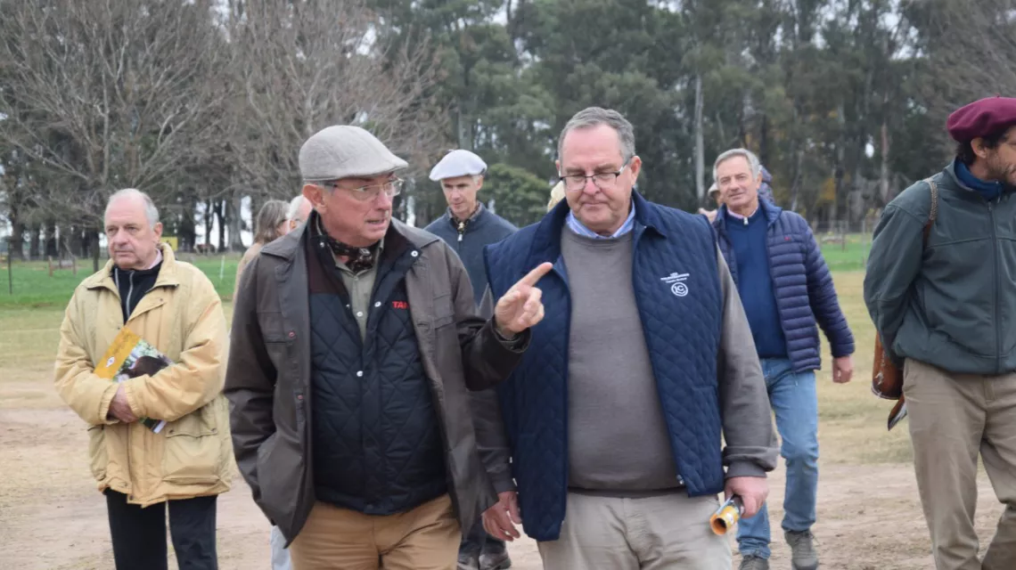 la pelada congreso braford