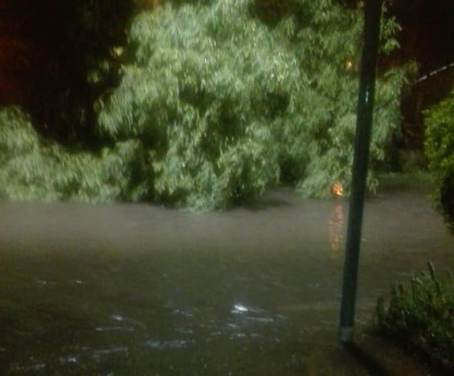 WhatsApp-Image-2020-11-29-at-8.09.42-PM