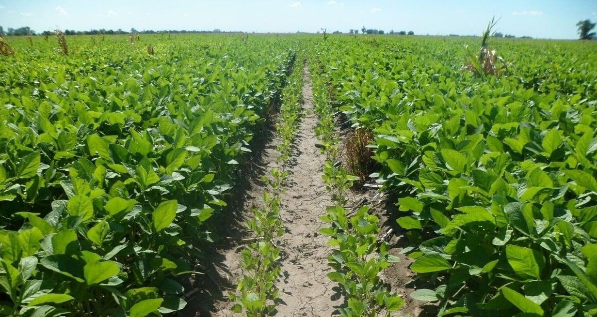 eLvHVVvA9_1300x655__2