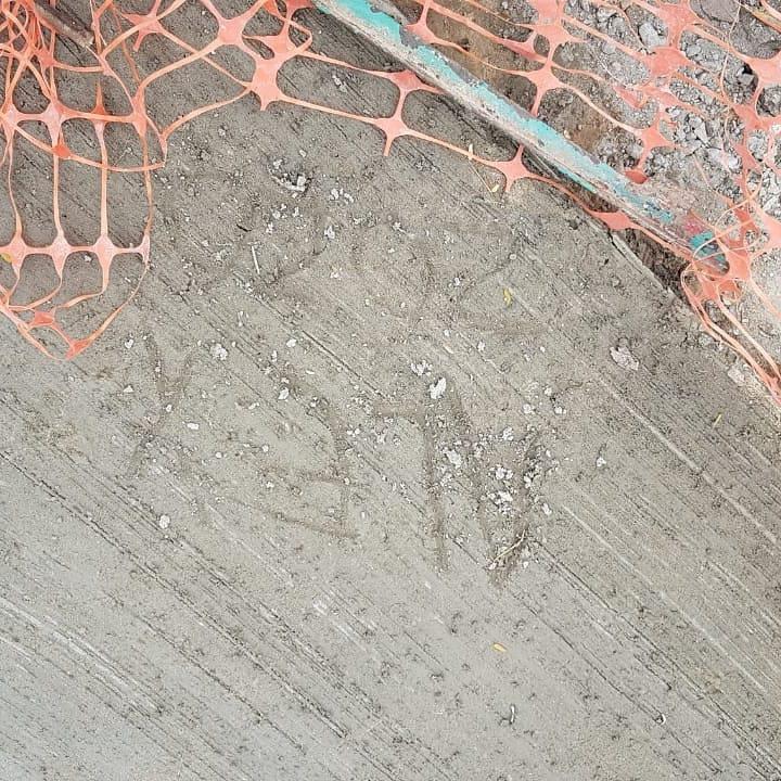 116819229_2775716892656801_6438175376808556250_n