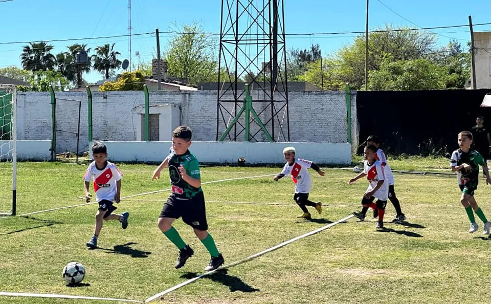 556599174_801448395619501_3265055636869440434_n