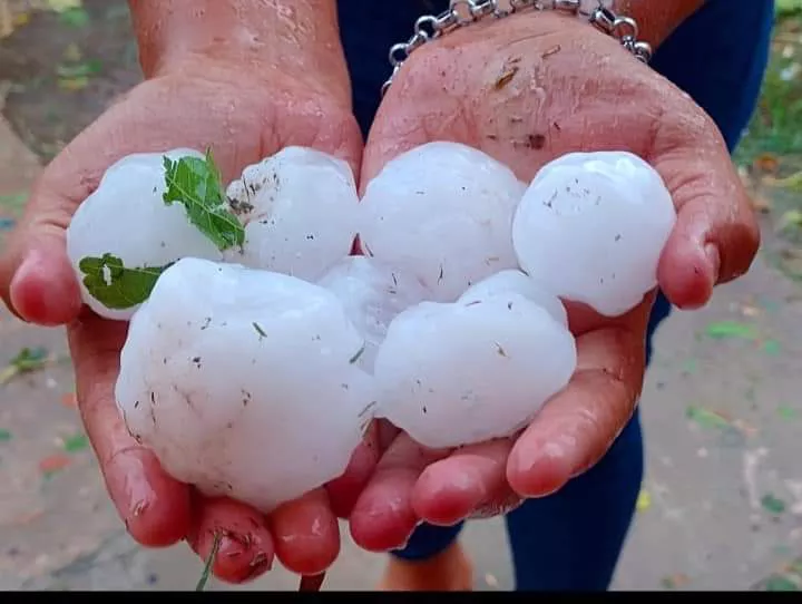 FB_IMG_1648616479266