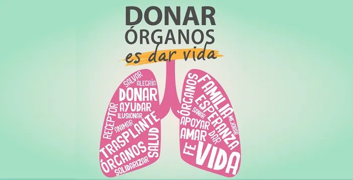 Dia-del-trasplante-700x357