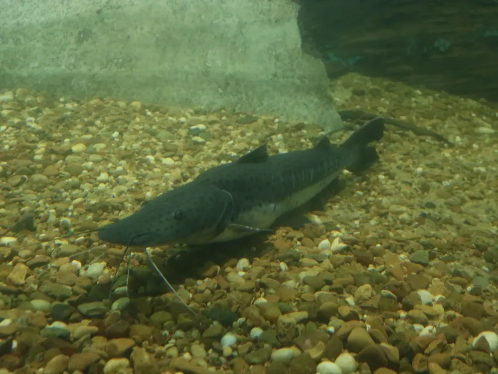 WhatsApp Image 2025-10-28 at 11.54.48 AM