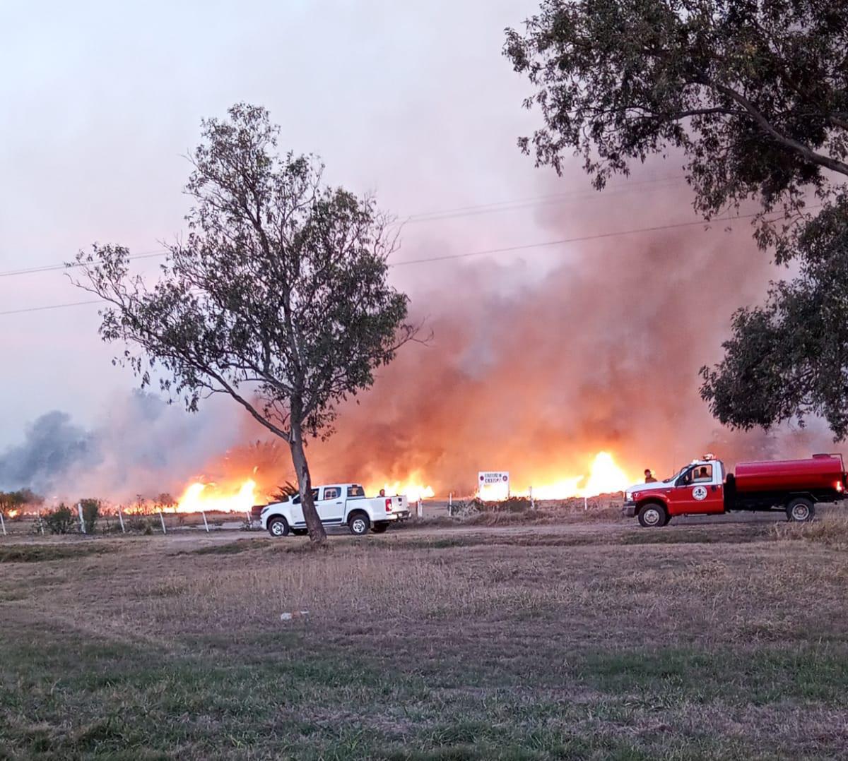 multimedia.normal.9dedd654e0f6a4dd.SU1HLTIwMjMwOTE0LVdBMDAyOF9ub3JtYWwuanBn