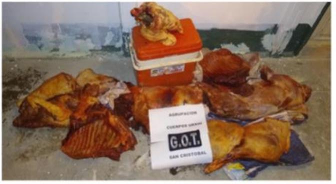 carne Jabali