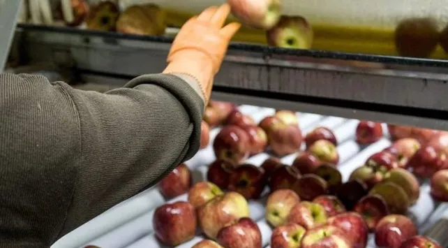 manzanas