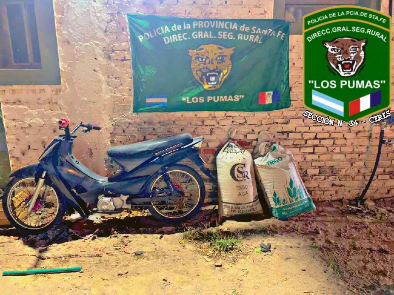 pumas-secuestro