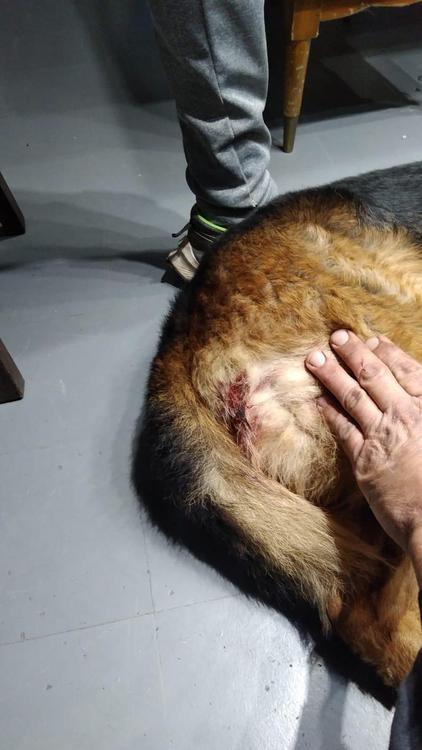 347253736_560350606305341_6560062900330386026_n