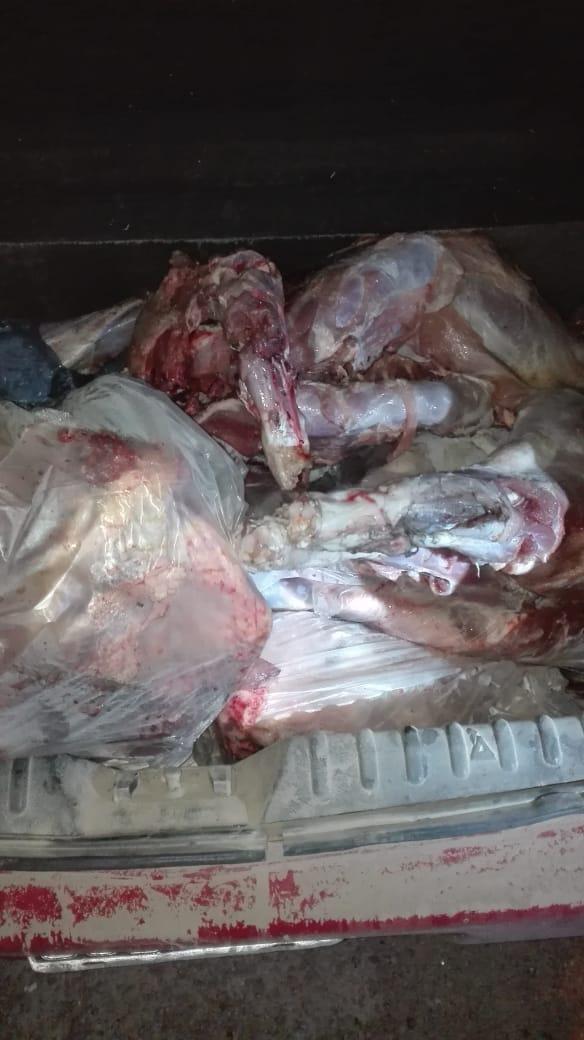 carnes