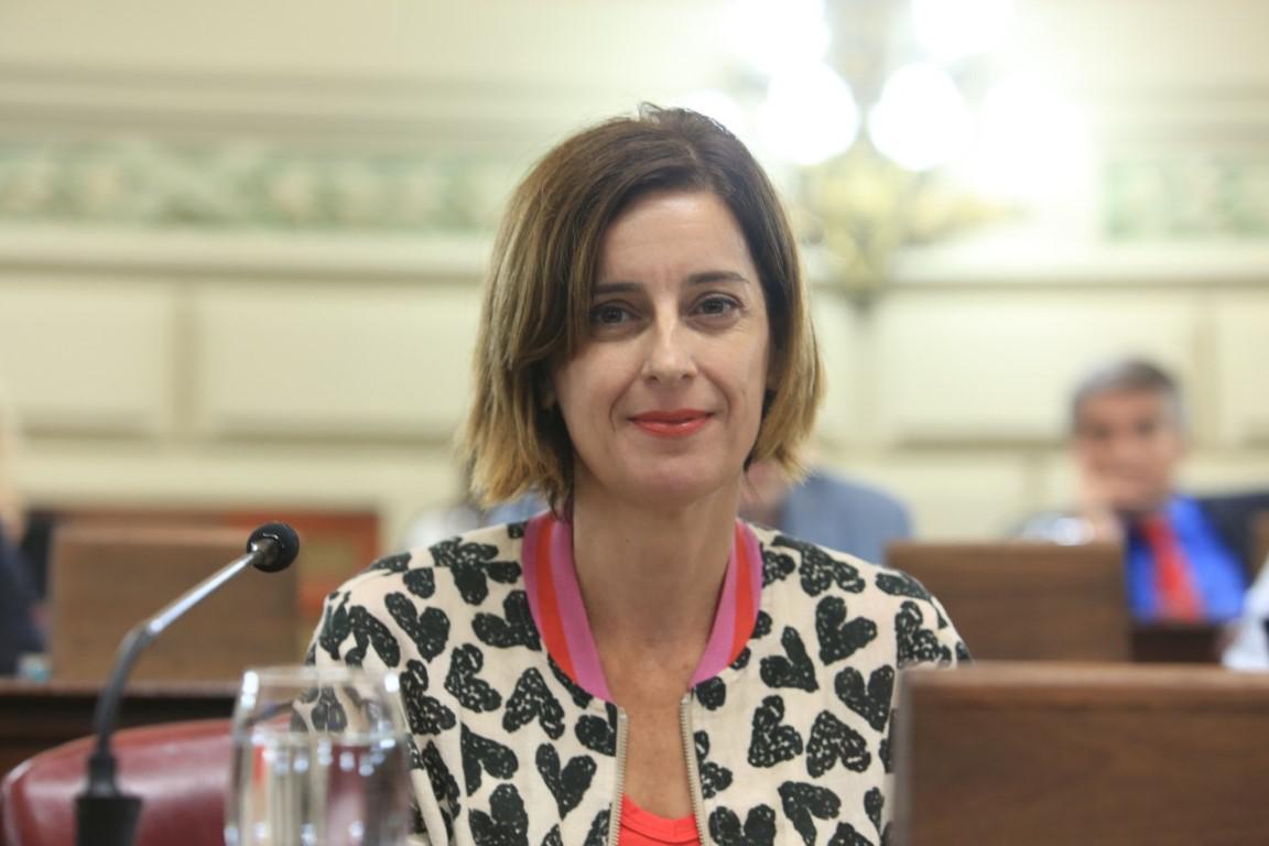 diputada Erica Hynes