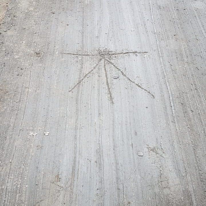 116874411_2775716799323477_3707647481342778227_n