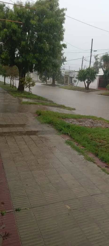 WhatsApp Image 2025-03-02 at 11.59.00 AM