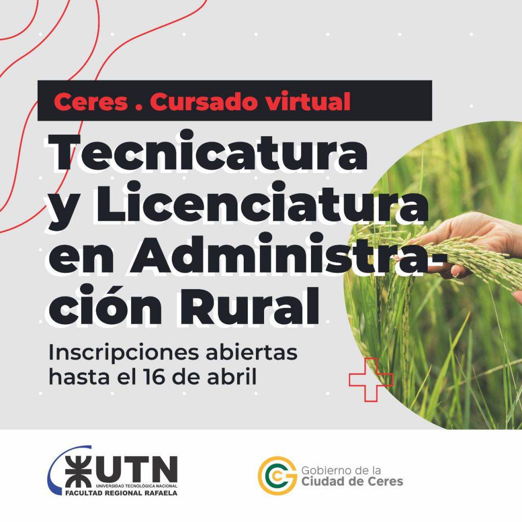 licenciatura-1024x1024