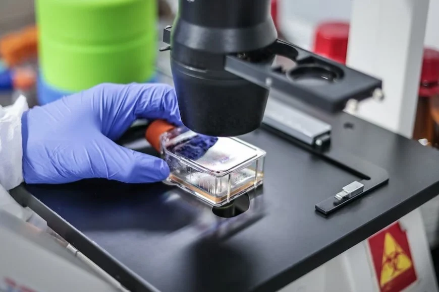 sdj8X4lBB_870x580__1