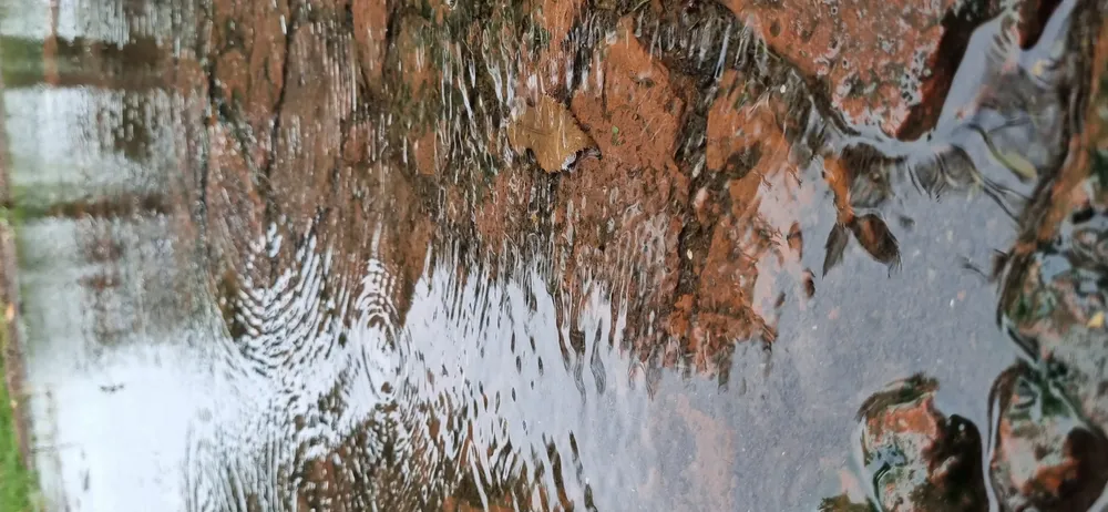 20251208_163616