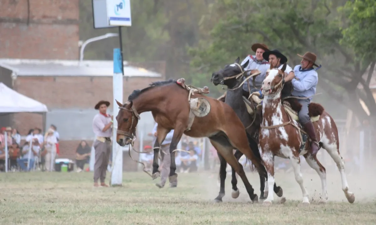 fiesta-caballo-pullaro-4