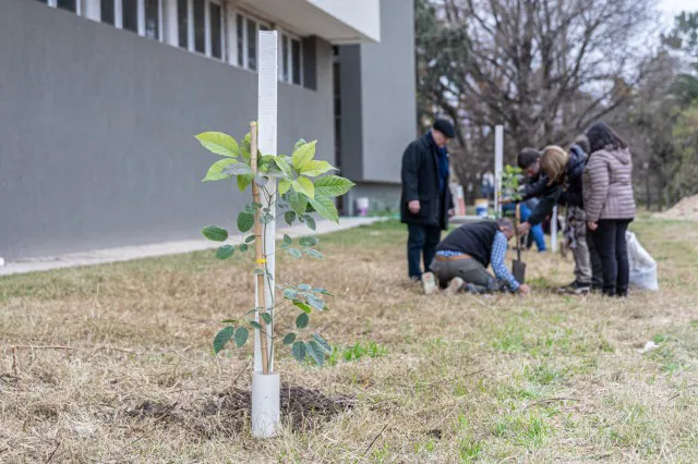 06_Plantacion_Arbol_Graduado_UNL_vga