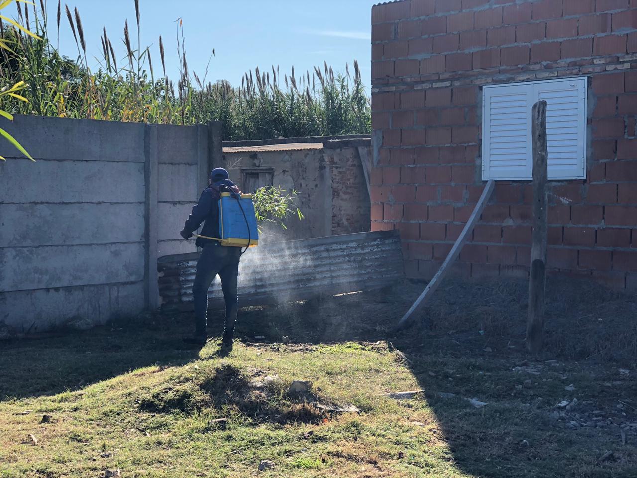 WhatsApp Image 2020-04-16 at 09.44.15