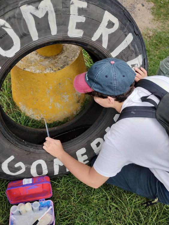 30fff8a2-399b-45a0-a887-66789b75358f