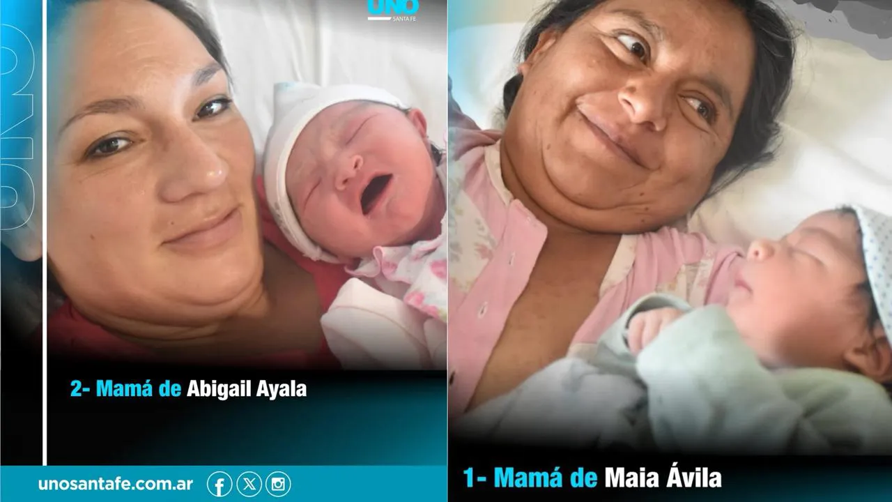 WhatsApp Image 2026-01-01 at 8.06.19 PM