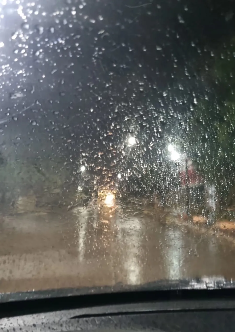 4432ef5f-0f89-4fd4-93da-1be44f6d1c46