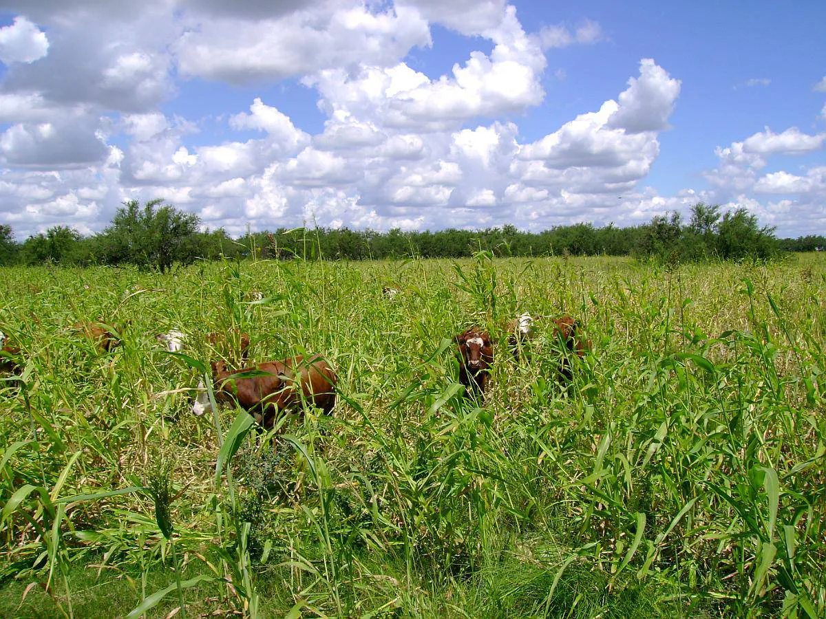 fa5e2c41acc84c8b94ab7d06b46d939a