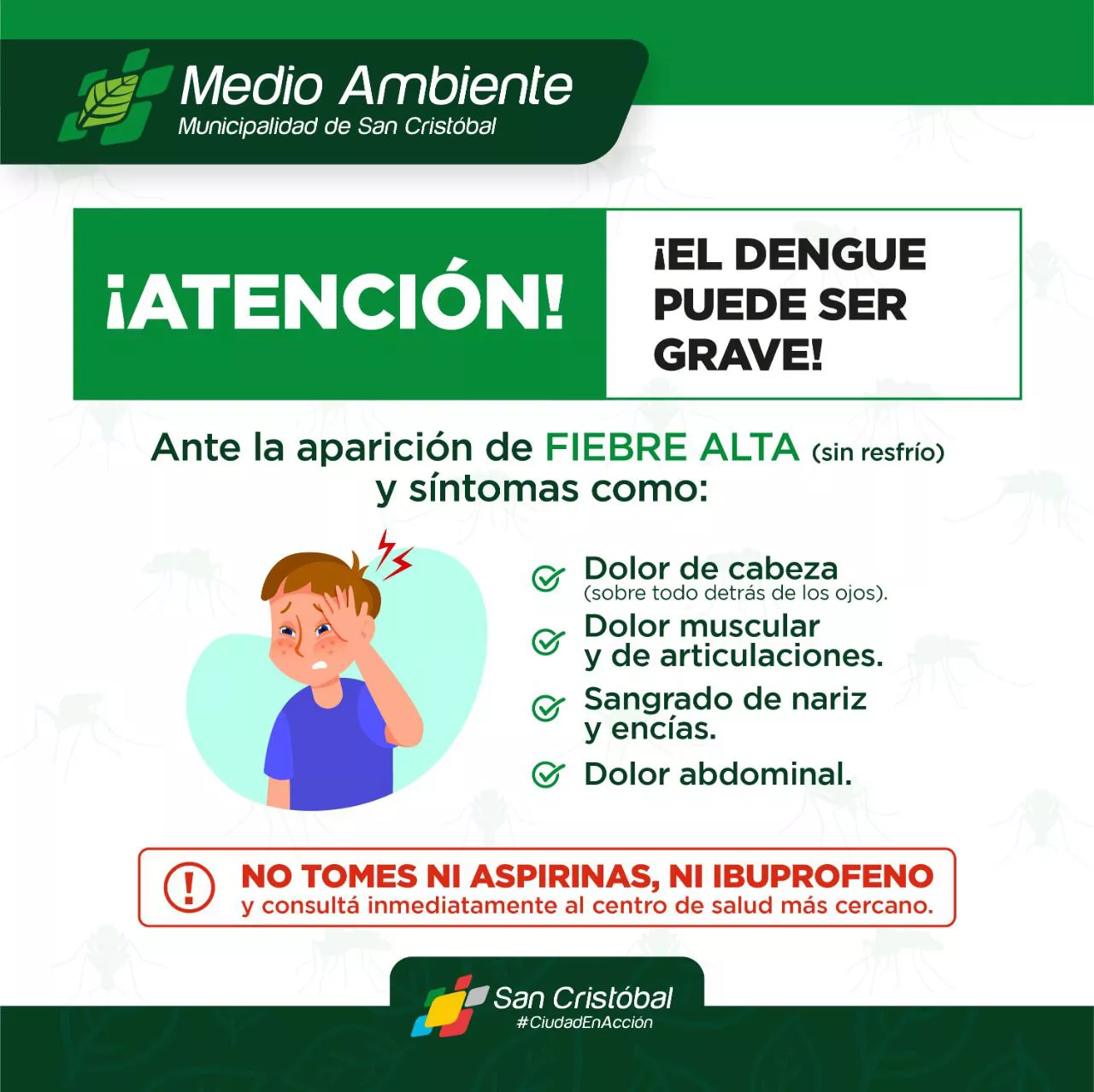 dengue1
