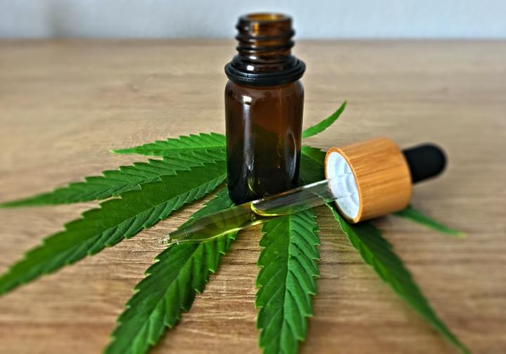 cannabis medicinal