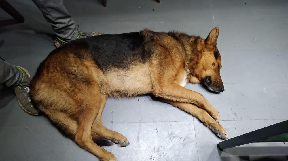 347605350_560350476305354_8792411869637209775_n