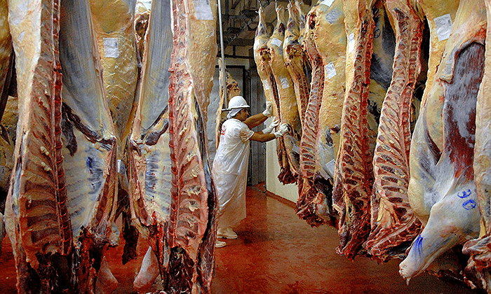 Carnes1