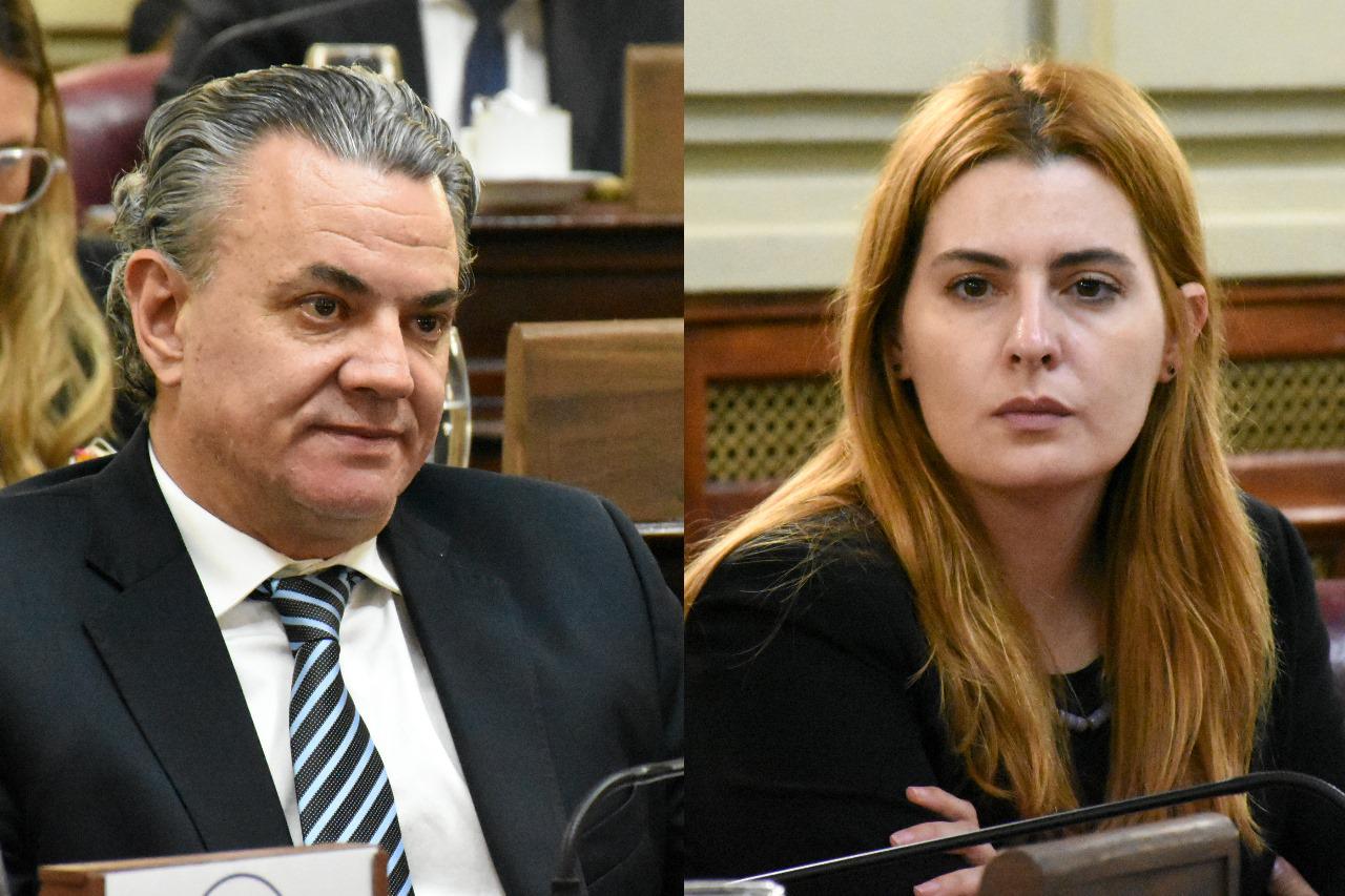 74cc269b-e8b0-407d-ad10-16004e7576d0