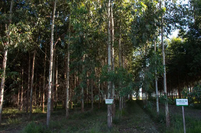 Vinculacion UNL (10)_vga