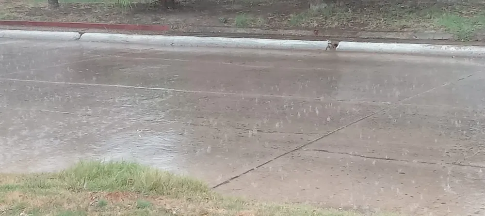 WhatsApp Image 2025-02-25 at 9.27.26 AM