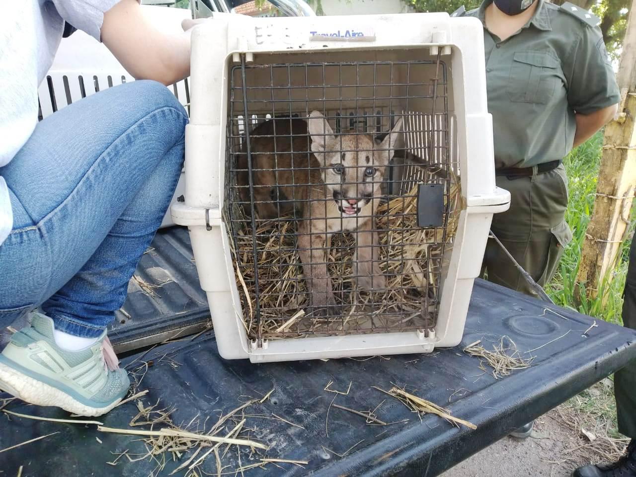 feb5f210-8575-439e-88e8-2ac940e208a0