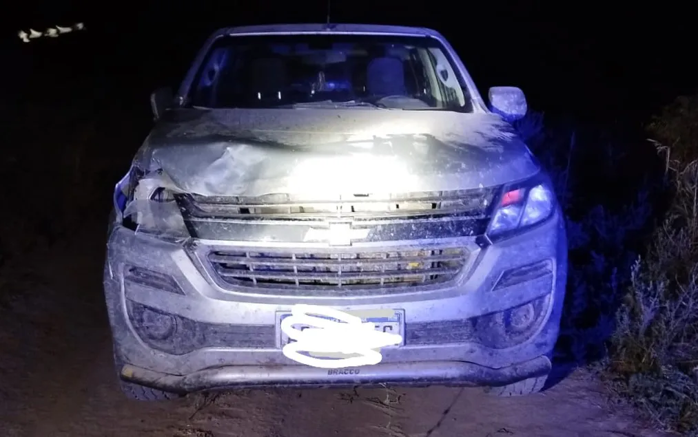 43334a9d-e6f2-49e3-9a98-424156e7e53e