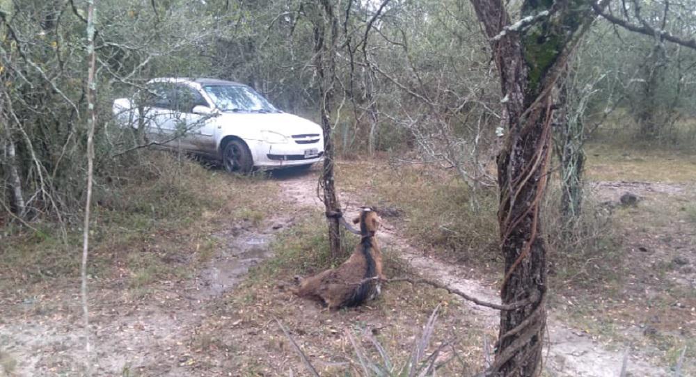 atado (1)rrrrrrrrrrrrrrr