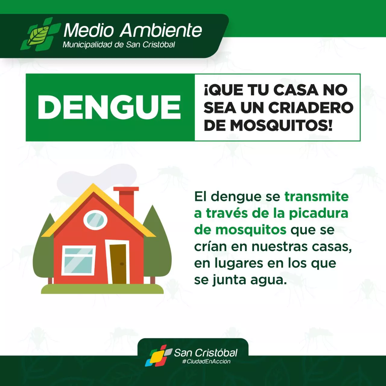 dengue3