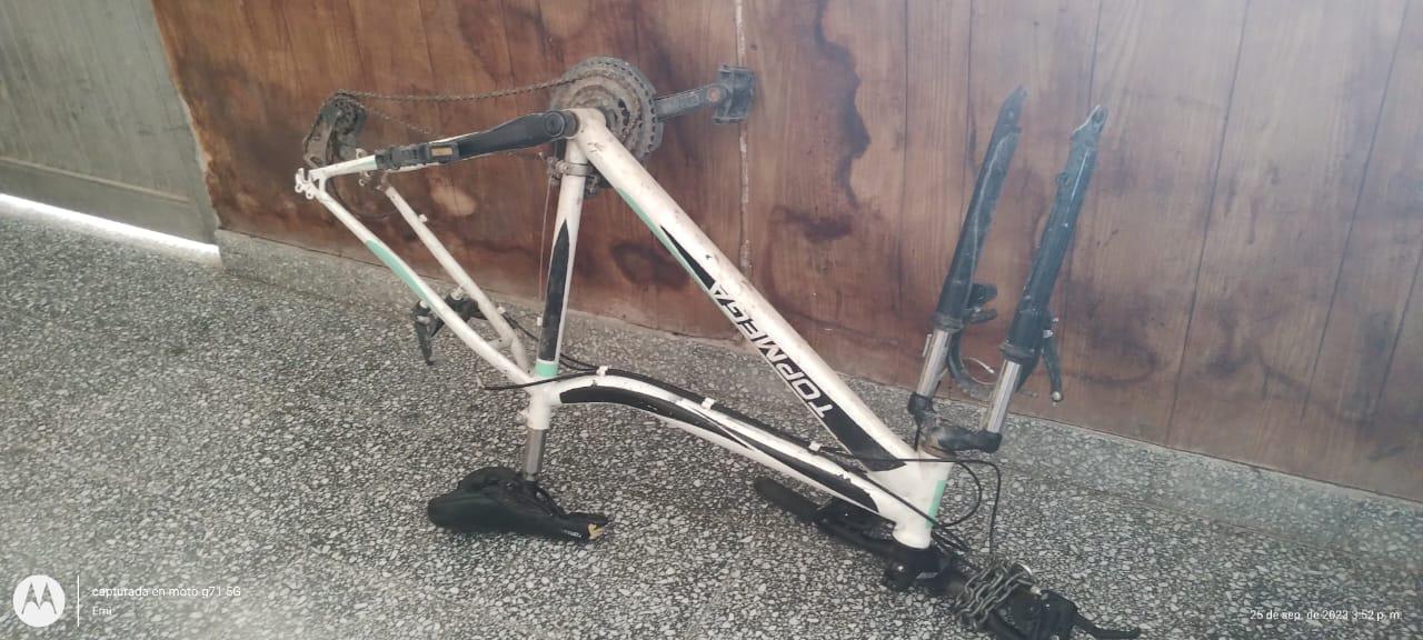 d2bb6b12-7861-4548-877c-a0eea3855cf2