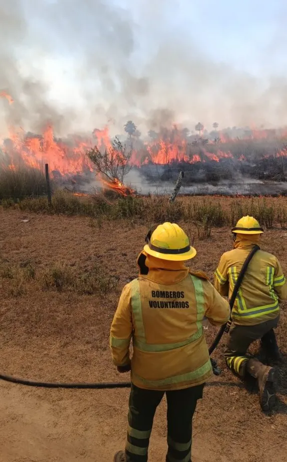 Bomberos-576x1024