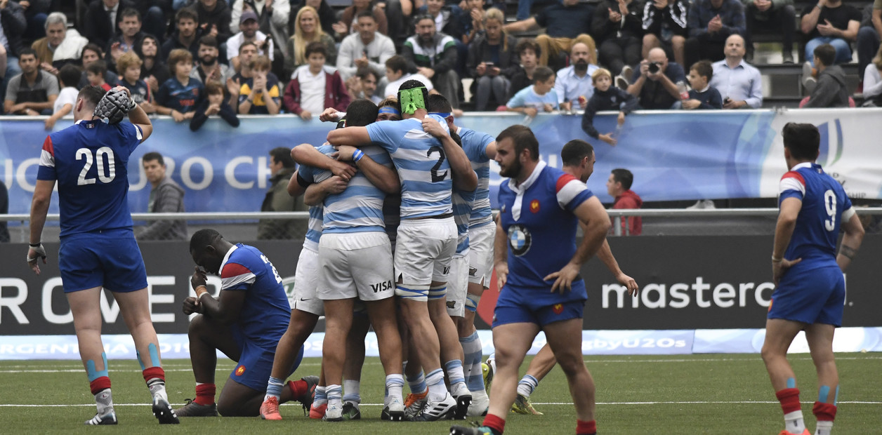 pumas