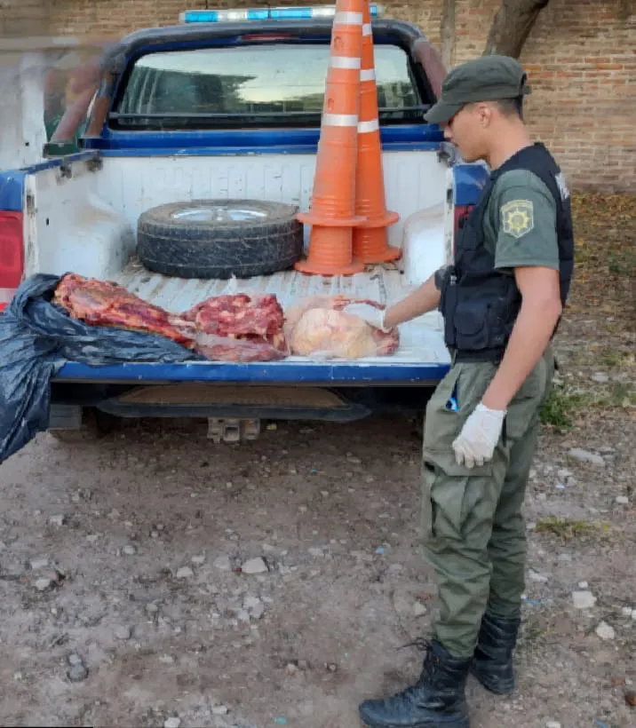 SECCION N° 34 CERES